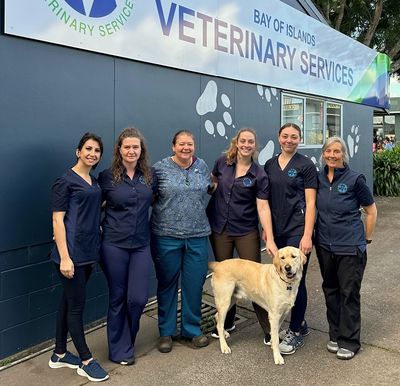 Joint effort required to tackle the overpopulation of companion animals