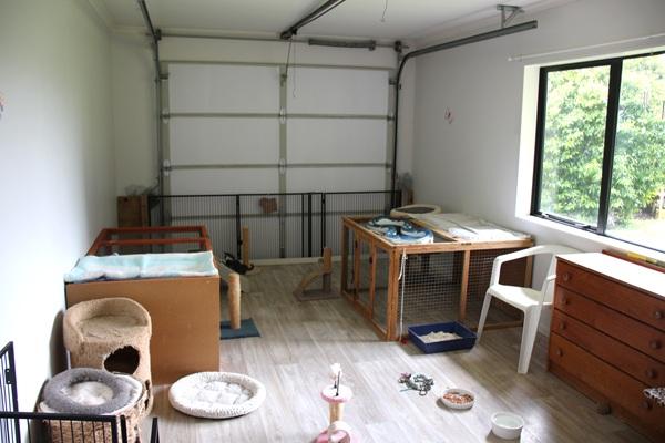 Foster area set up in garage