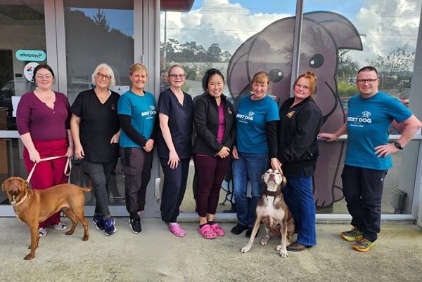 Rescue and Vet teams with SPCA desexing