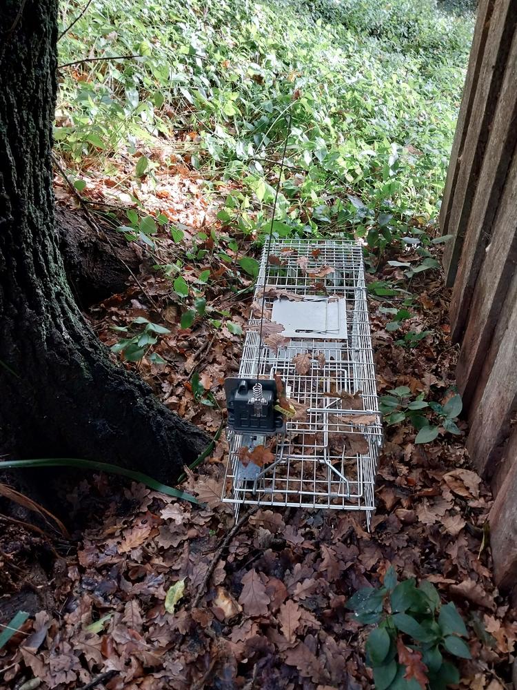 A live capture trap