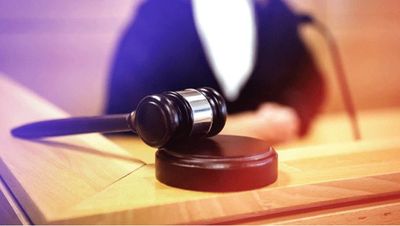SPCA prosecutes man for beating a dog after it bit his daughter