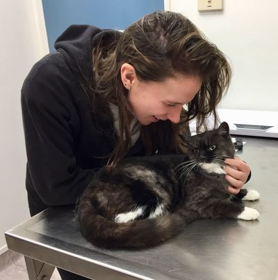 Lost and found pets