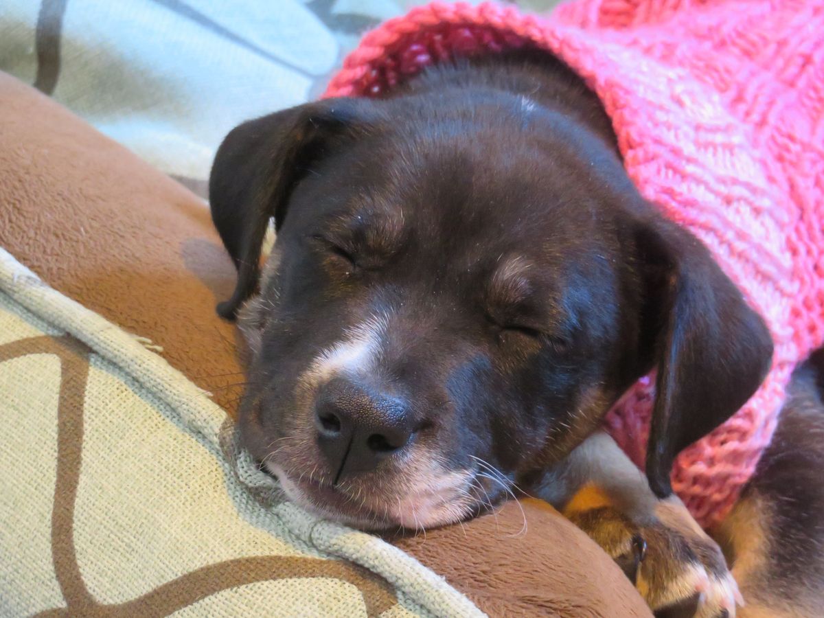 Gallery image: Edie