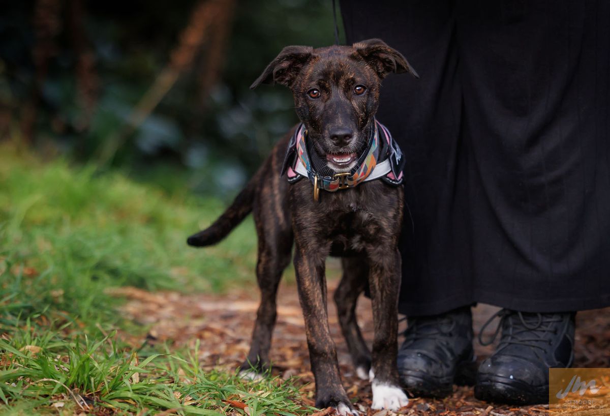 Gallery image: Etta