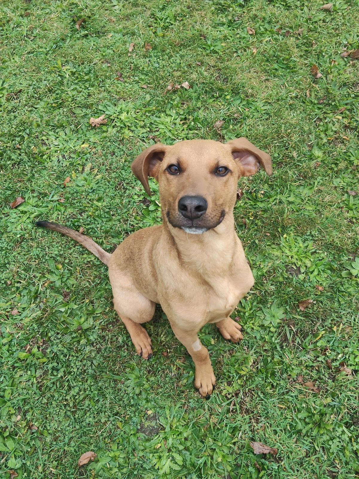Gallery image: Roo