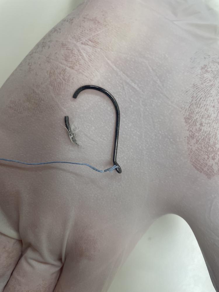 A fishing hook in two pieces is held up by a gloved hand.
