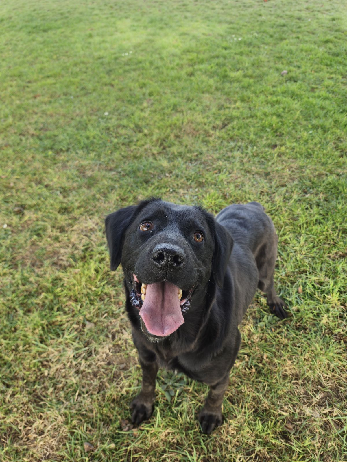 Gallery image: Chip
