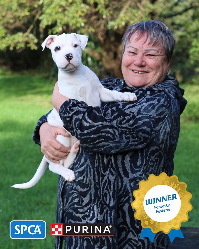 Fantastic Fosterer - Annette Flynn - Wellington