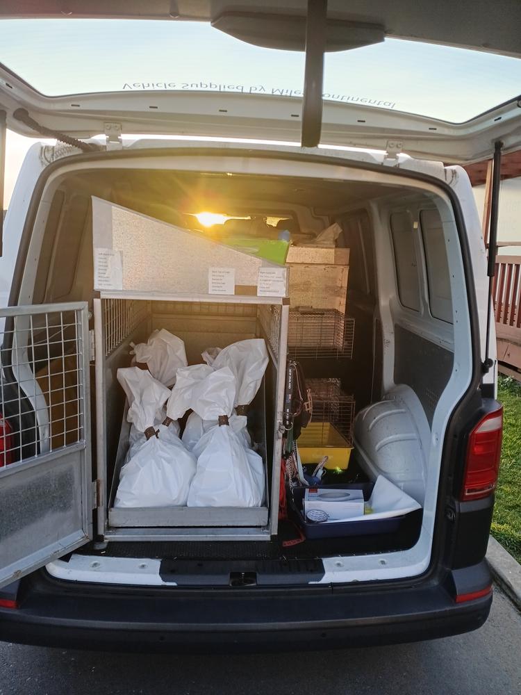 Six white bags are tied up in the back of a van.