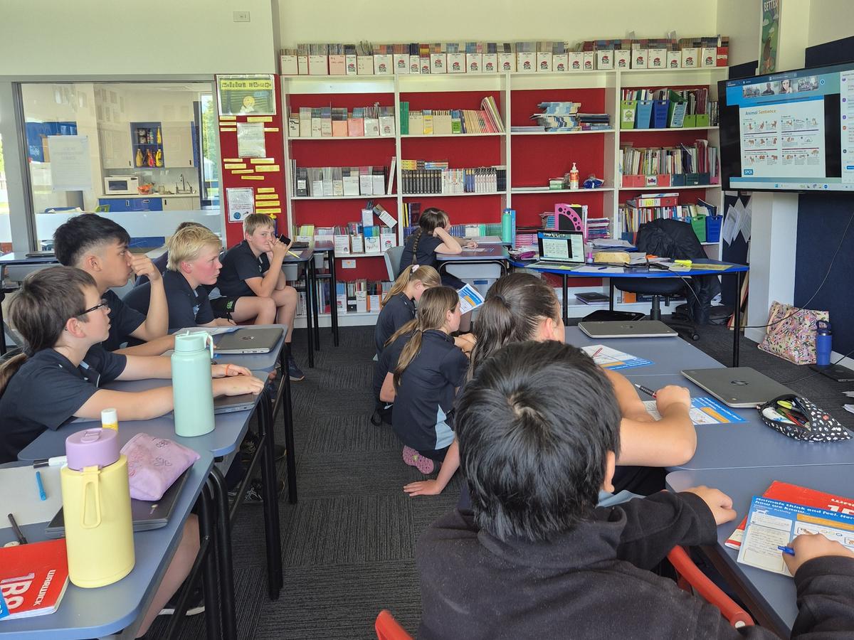 Children in New Zealand classroom watching the SPCA live webinar