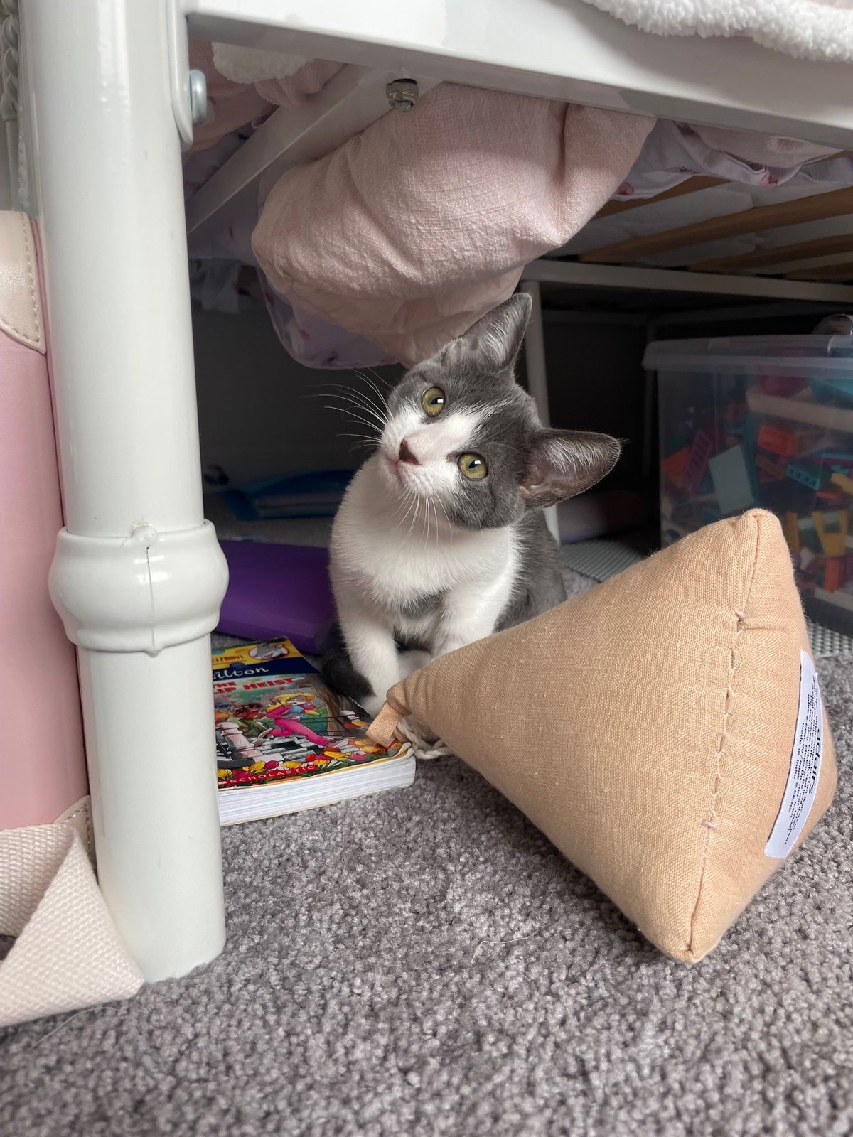 Gallery image: Muffin 