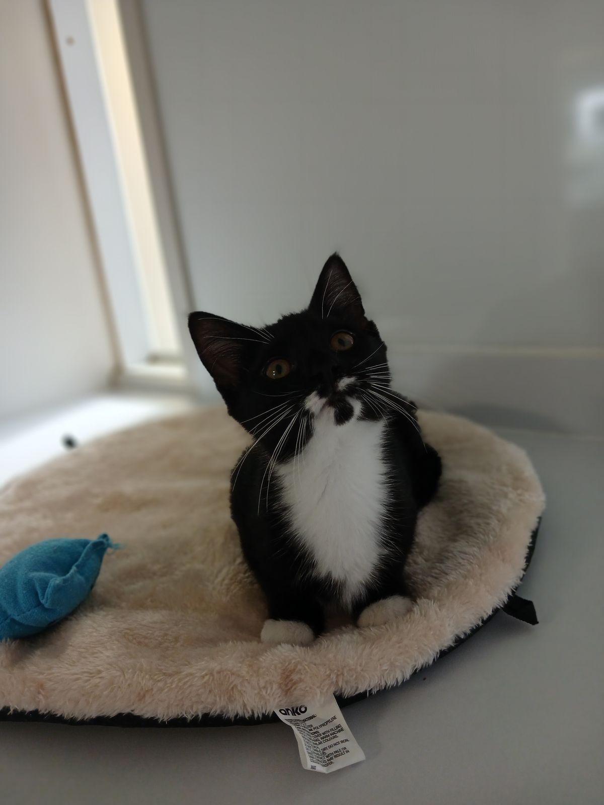 Gallery image: Tilly