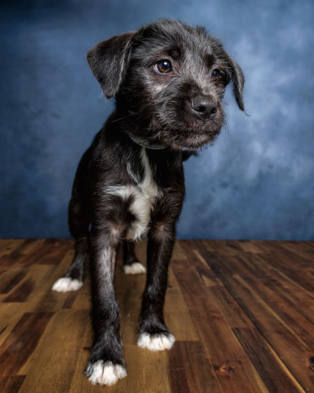 Gallery image: Eliza