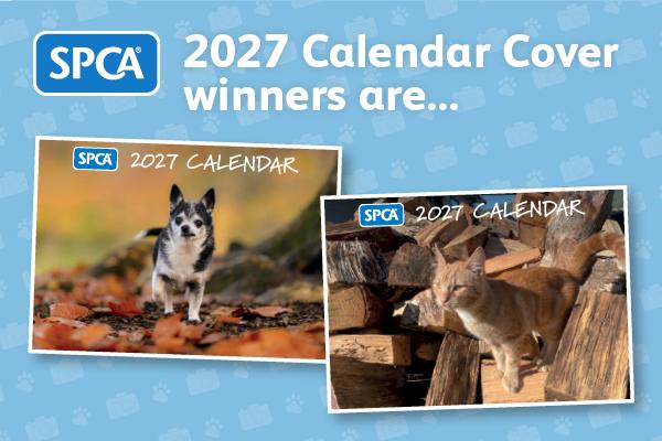 Nail-biting finish to SPCA’s Pets of the Year calendar competition secures the 2027 cover stars! 
