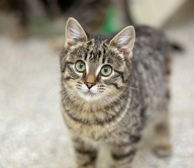 Matilda