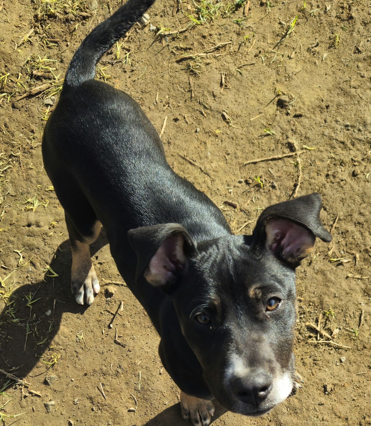 Gallery image: Edie