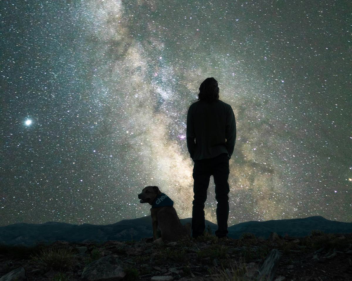 Matariki herenga waka: Celebrating Matariki with your pets