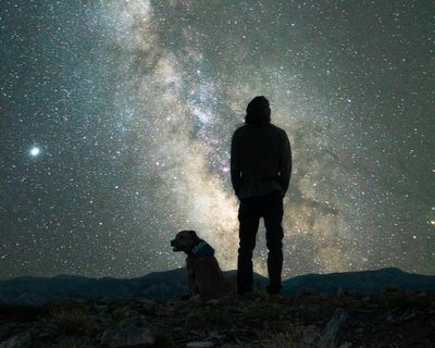 Matariki herenga waka: Celebrating Matariki with your pets