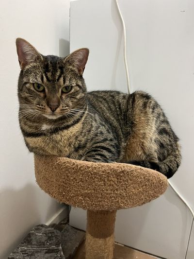 Milo
