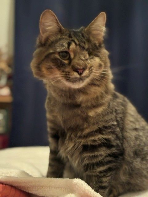 Gallery image: Chance