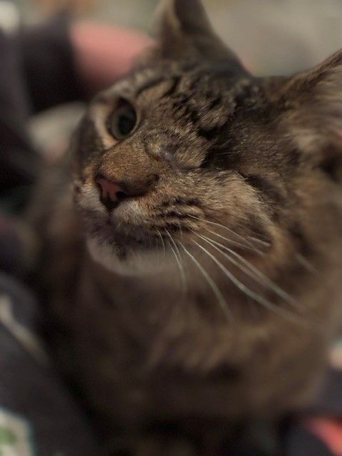 Gallery image: Chance
