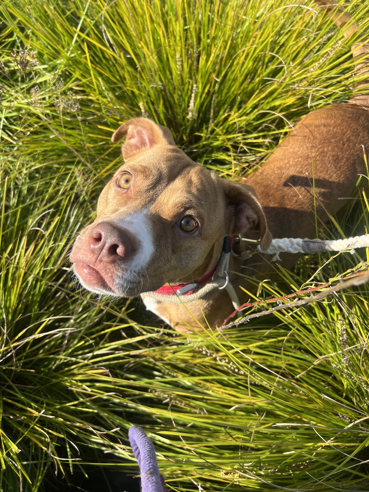 Gallery image: Winnie
