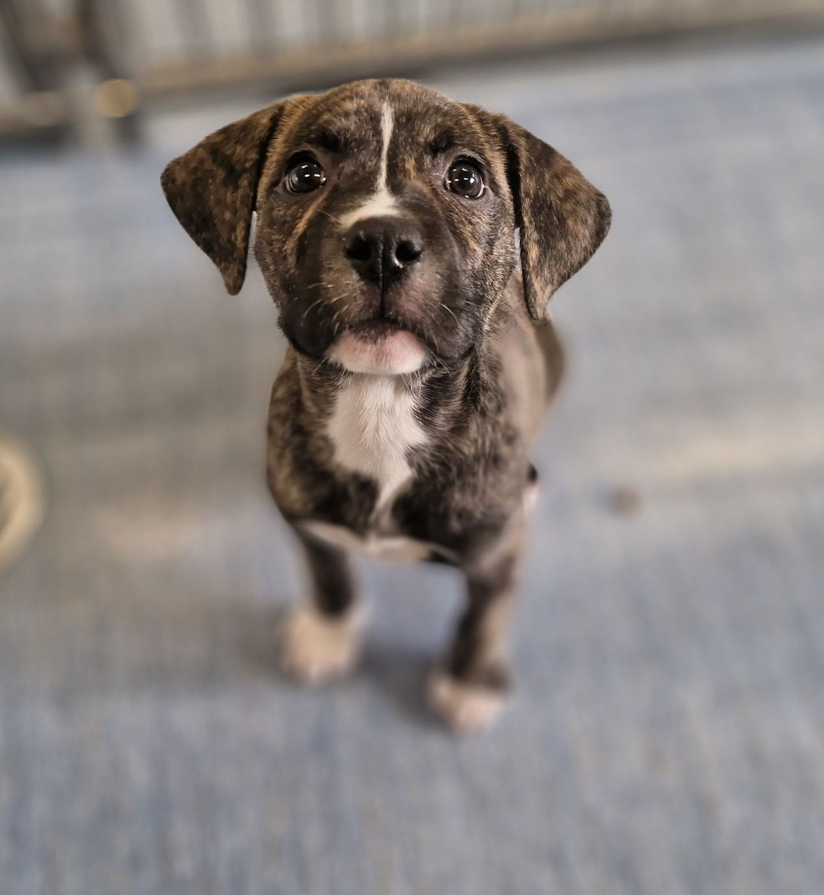 Gallery image: Gus