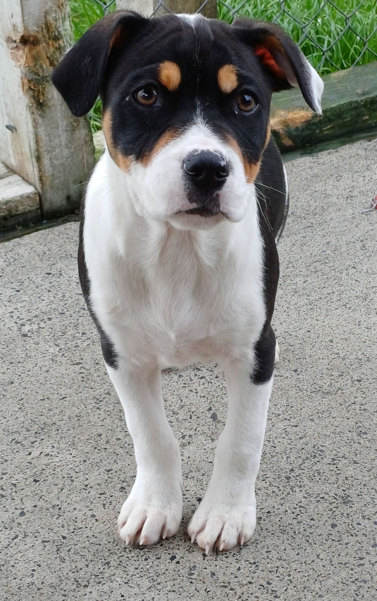 Gallery image: Betty