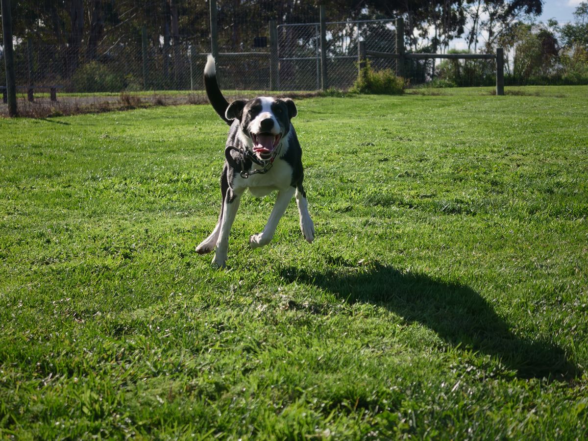 Gallery image: Brooks