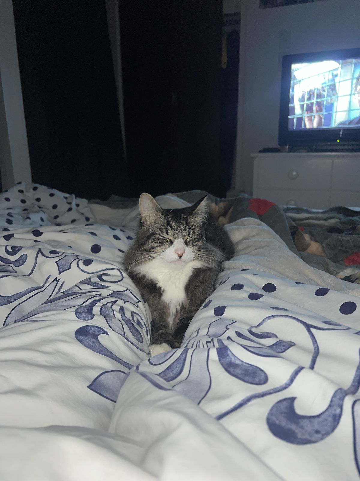 Gallery image: Muffin
