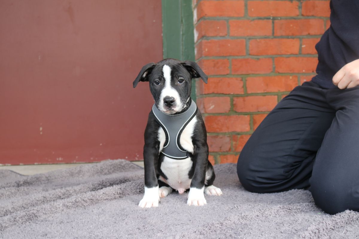 Gallery image: Mac