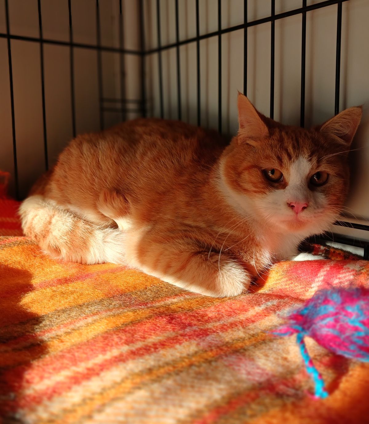 Gallery image: Finnegan 
