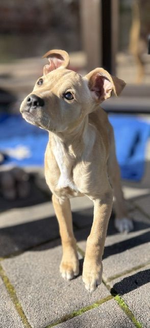 Gallery image: Lulu