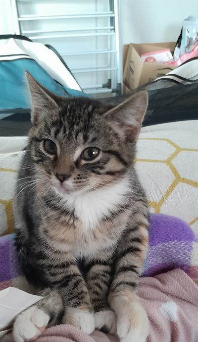 Rosie