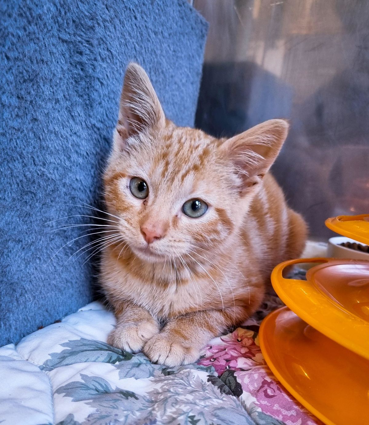 Gallery image: Copper