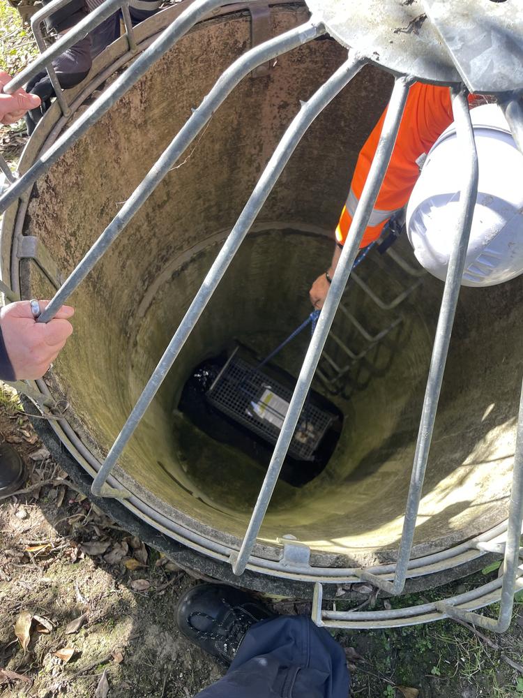 Downer contractors lower a trap into the storm drain.