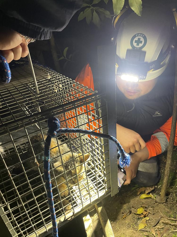 The kittens were finally lifted to safety just before 8PM!