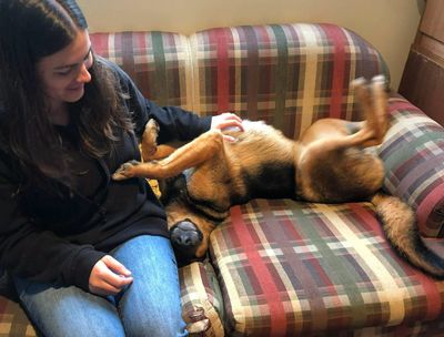 Love for Long-stays campaign helps hundreds of animals find homes