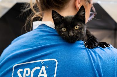 General Animal Care Volunteer 