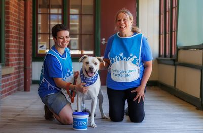 Events and Fundraising Volunteer 