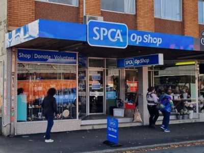 Op Shop Volunteer (Dunedin)