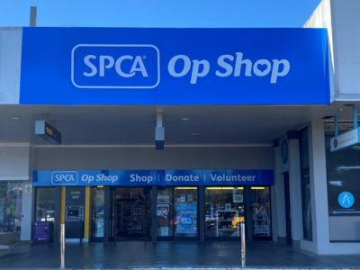 Op Shop Volunteer (Three Kings, Auckland)