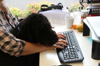 Administration Volunteer