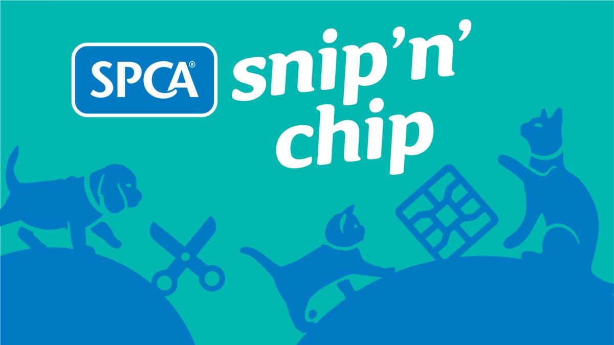 SPCA's Snip 'n' Chip launches in Northland