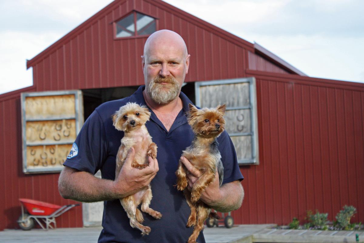 Rescue animals