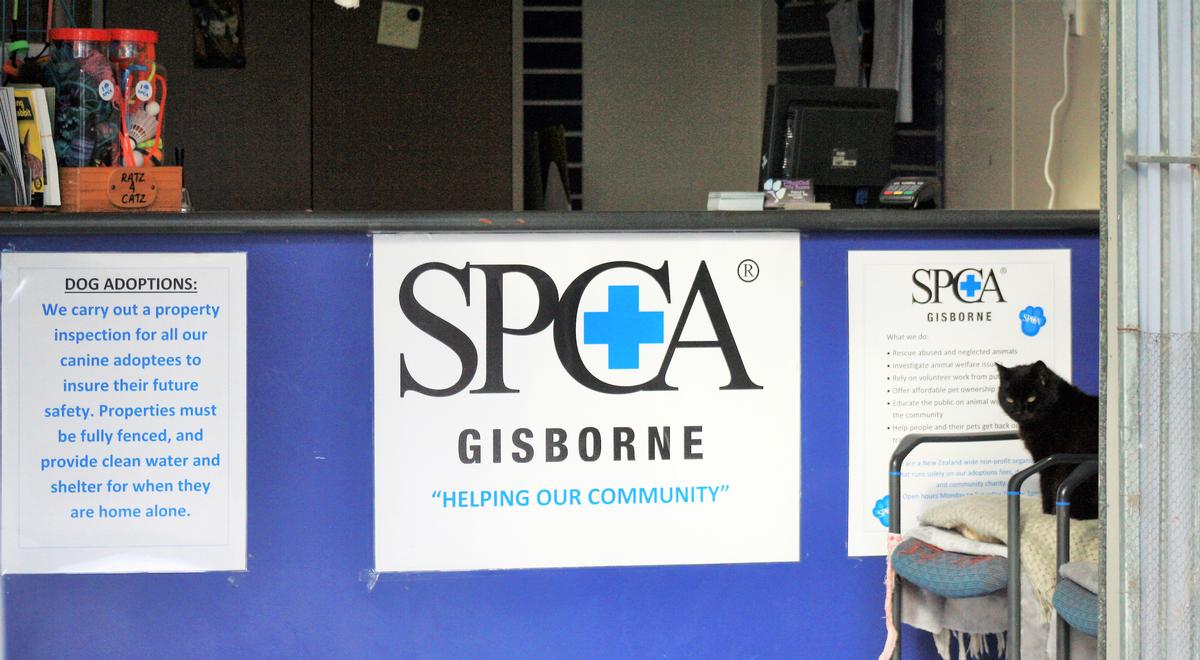 Gisborne