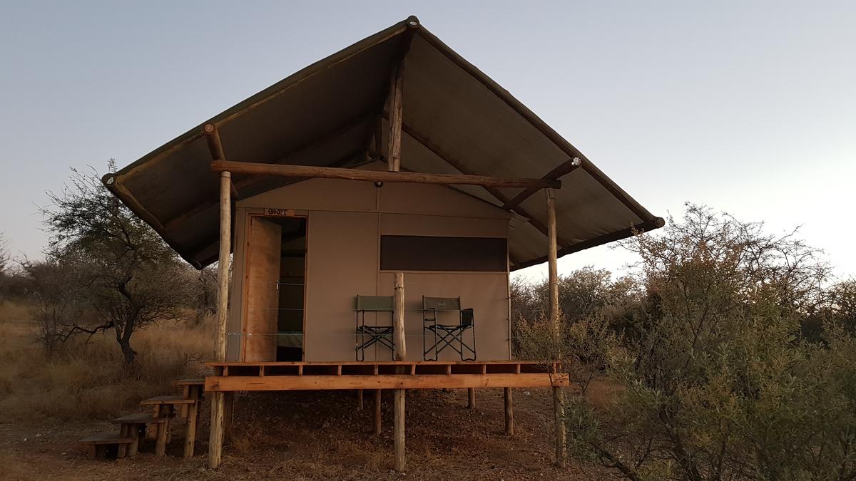 Gallery: Gallery: Kevin Plowright's trip