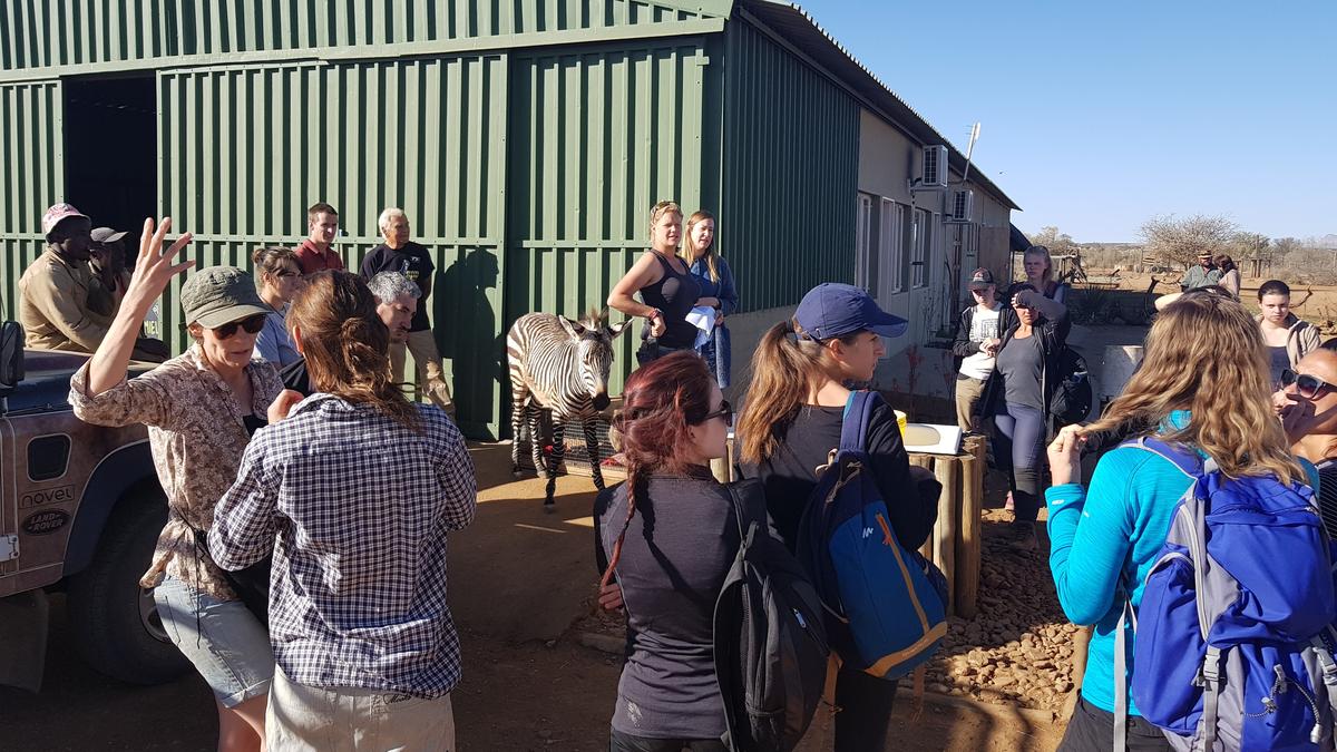Gallery: Gallery: Kevin Plowright's trip
