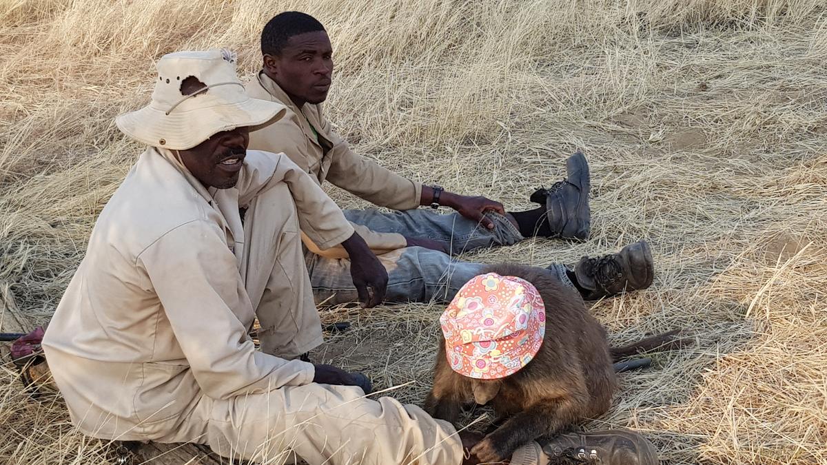 Gallery: Gallery: Kevin Plowright's trip