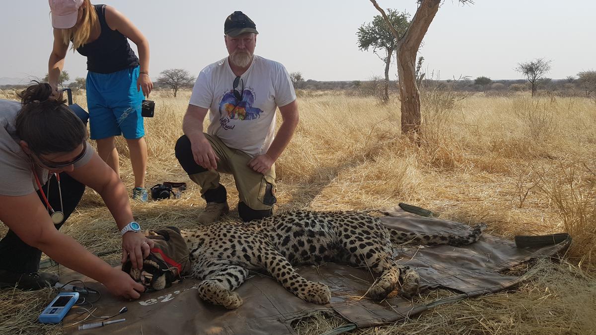 Gallery: Gallery: Kevin Plowright's trip